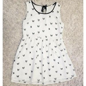 Boston Terrier Dress